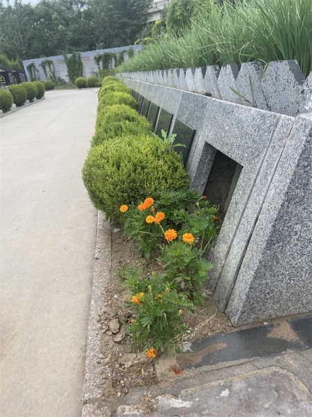 慈安苑 3800元起