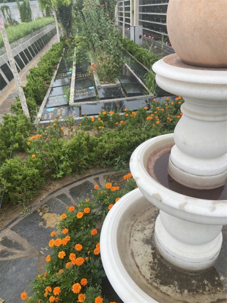 树葬卧碑 3800元起